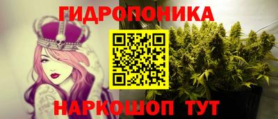 не бодяженный Камышлов