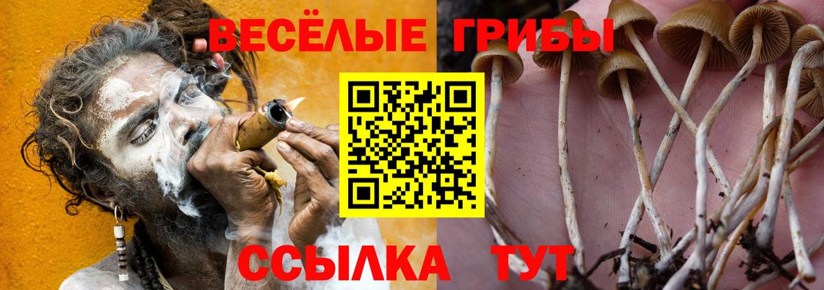 Псилоцибиновые грибы прущие грибы Южноуральск