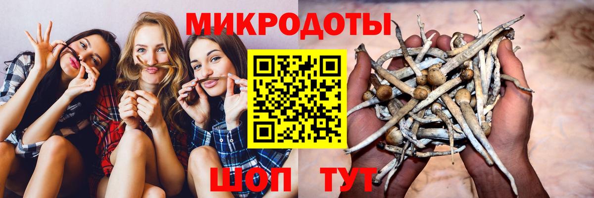 Южноуральск  Псилоцибиновые грибы мухоморы  где купить   Вход с VPN 